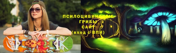 твердый Гусь-Хрустальный